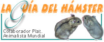 La guia del hamster